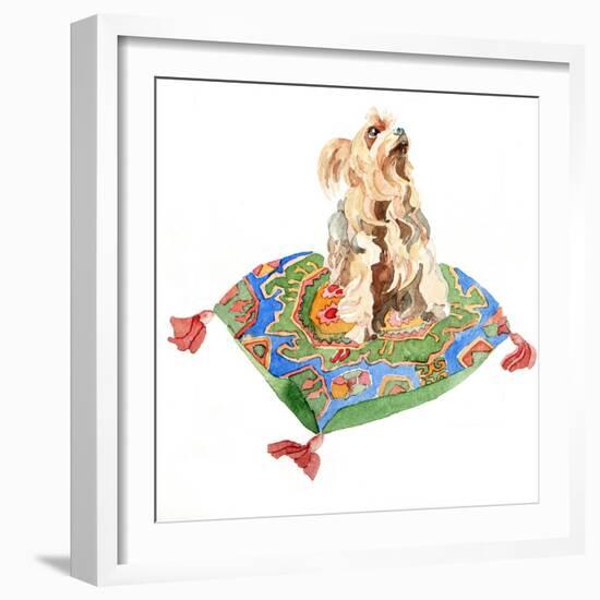 Yorkshire Terrier, 2012-Jennifer Abbott-Framed Giclee Print