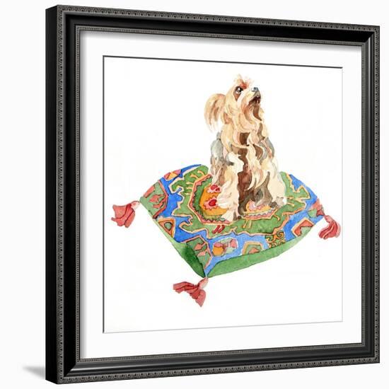 Yorkshire Terrier, 2012-Jennifer Abbott-Framed Giclee Print