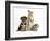 Yorkshire Terrier-Cross Puppy, 8 Weeks, with Guinea Pig and Sandy Netherland Dwarf-Cross Rabbit-Mark Taylor-Framed Photographic Print