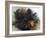 Yorkshire Terrier in Water-Adriano Bacchella-Framed Photographic Print