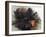 Yorkshire Terrier in Water-Adriano Bacchella-Framed Photographic Print