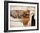 Yorkshire Terrier Lying on Couch-Adriano Bacchella-Framed Photographic Print