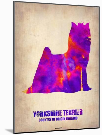 Yorkshire Terrier Poster-NaxArt-Mounted Art Print