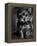 Yorkshire Terrier Puppy Portrait-Adriano Bacchella-Framed Premier Image Canvas