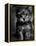 Yorkshire Terrier Puppy Portrait-Adriano Bacchella-Framed Premier Image Canvas