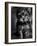 Yorkshire Terrier Puppy Portrait-Adriano Bacchella-Framed Photographic Print