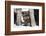 Yorkshire Terrier Puppy sitting-Zandria Muench Beraldo-Framed Photographic Print