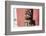 Yorkshire Terrier Puppy sitting-Zandria Muench Beraldo-Framed Photographic Print