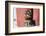 Yorkshire Terrier Puppy sitting-Zandria Muench Beraldo-Framed Photographic Print