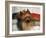 Yorkshire Terrier Sleeping on Cushion-Adriano Bacchella-Framed Photographic Print