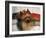 Yorkshire Terrier Sleeping on Cushion-Adriano Bacchella-Framed Photographic Print