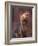 Yorkshire Terrier Studio Portrait-Adriano Bacchella-Framed Photographic Print