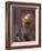 Yorkshire Terrier Studio Portrait-Adriano Bacchella-Framed Photographic Print