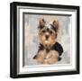 Yorkshire Terrier-Keri Rodgers-Framed Giclee Print