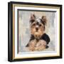 Yorkshire Terrier-Keri Rodgers-Framed Giclee Print