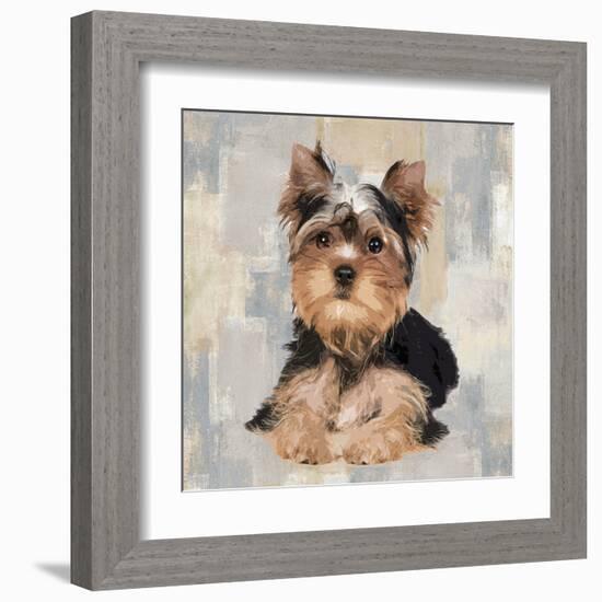 Yorkshire Terrier-Keri Rodgers-Framed Art Print