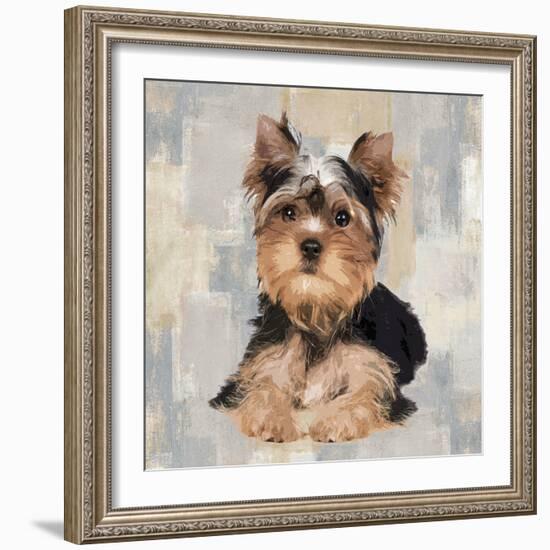 Yorkshire Terrier-Keri Rodgers-Framed Art Print