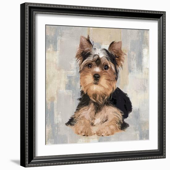 Yorkshire Terrier-Keri Rodgers-Framed Art Print