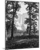 Yosemite Falls 2630 ft., Yosemite-Carleton E Watkins-Mounted Giclee Print
