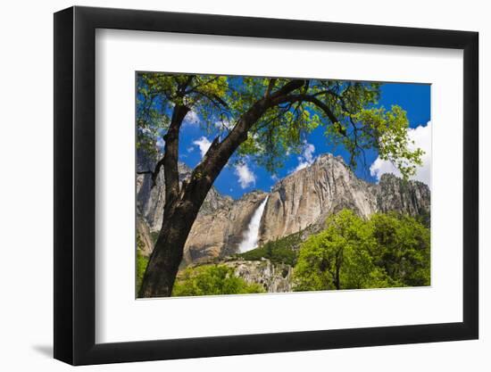 Yosemite Falls, California, Usa-Russ Bishop-Framed Photographic Print