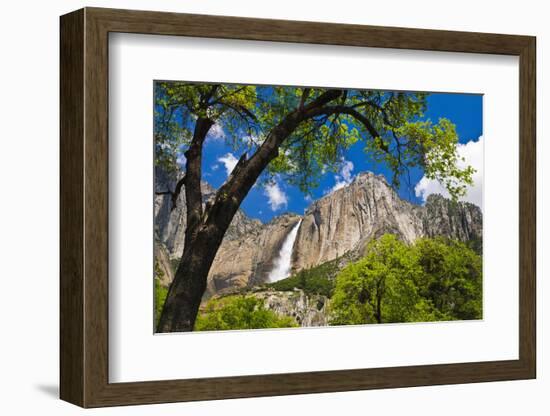 Yosemite Falls, California, Usa-Russ Bishop-Framed Premium Photographic Print