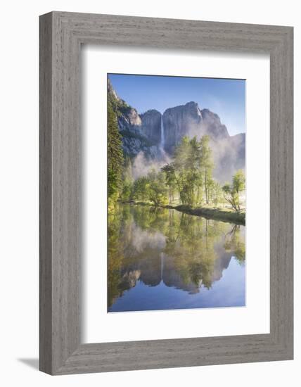 Yosemite Falls reflected in the Merced River at dawn, Yosemite National Park, California, USA. Spri-Adam Burton-Framed Photographic Print