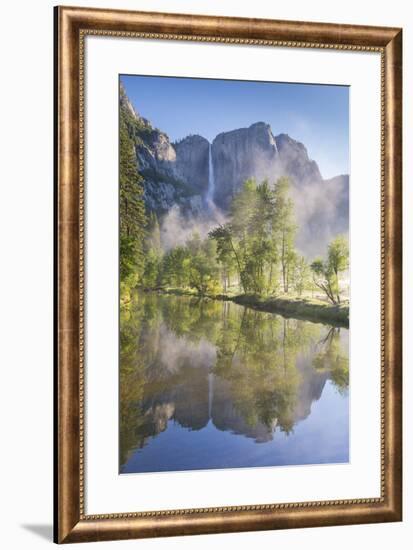 Yosemite Falls reflected in the Merced River at dawn, Yosemite National Park, California, USA. Spri-Adam Burton-Framed Photographic Print