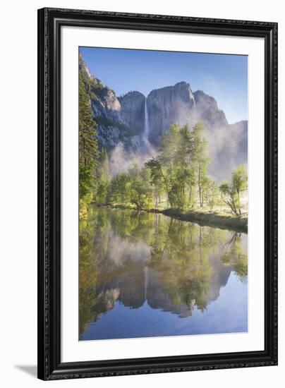 Yosemite Falls reflected in the Merced River at dawn, Yosemite National Park, California, USA. Spri-Adam Burton-Framed Photographic Print