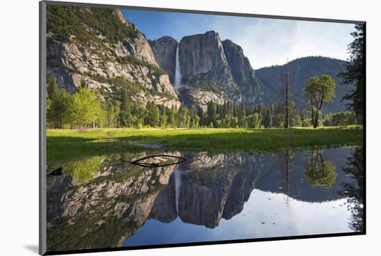 Yosemite Falls viewed across a Yosemite Valley meadow, California, USA. Spring (June) 2016.-Adam Burton-Mounted Photographic Print