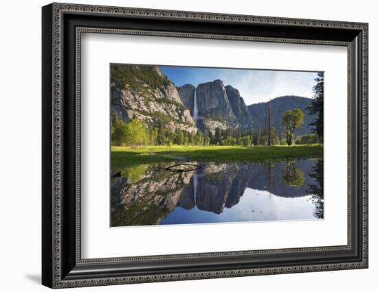 Yosemite Falls viewed across a Yosemite Valley meadow, California, USA. Spring (June) 2016.-Adam Burton-Framed Photographic Print