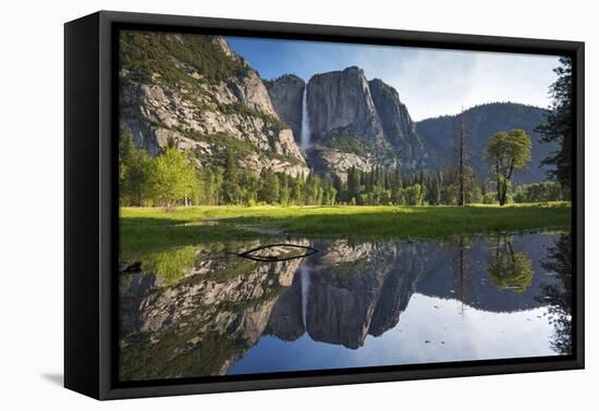 Yosemite Falls viewed across a Yosemite Valley meadow, California, USA. Spring (June) 2016.-Adam Burton-Framed Premier Image Canvas