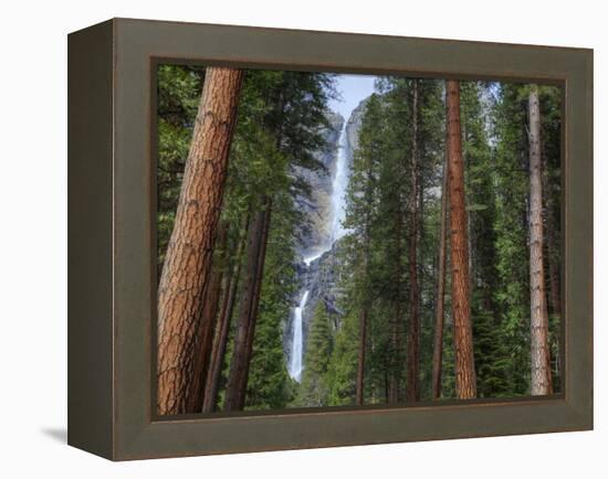 Yosemite Falls, Yosemite National Park, California, Usa-Jamie & Judy Wild-Framed Premier Image Canvas