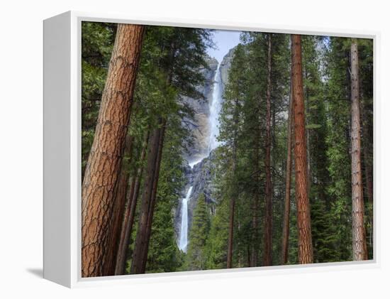 Yosemite Falls, Yosemite National Park, California, Usa-Jamie & Judy Wild-Framed Premier Image Canvas