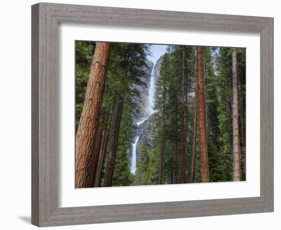 Yosemite Falls, Yosemite National Park, California, Usa-Jamie & Judy Wild-Framed Photographic Print