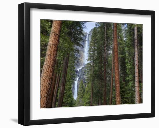 Yosemite Falls, Yosemite National Park, California, Usa-Jamie & Judy Wild-Framed Photographic Print