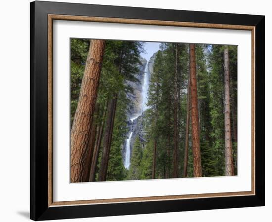 Yosemite Falls, Yosemite National Park, California, Usa-Jamie & Judy Wild-Framed Photographic Print