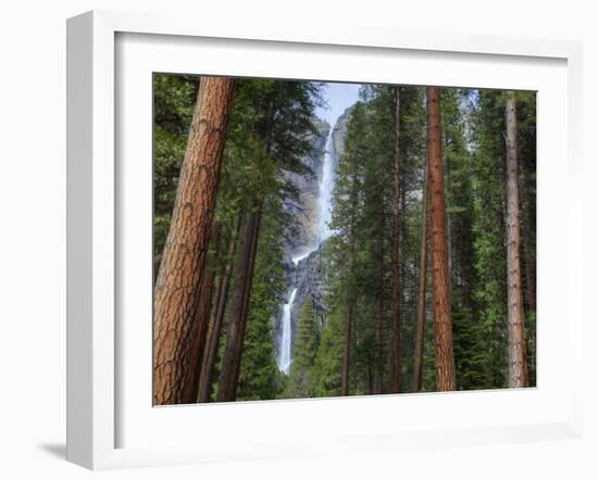 Yosemite Falls, Yosemite National Park, California, Usa-Jamie & Judy Wild-Framed Photographic Print