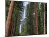 Yosemite Falls, Yosemite National Park, California, Usa-Jamie & Judy Wild-Mounted Photographic Print