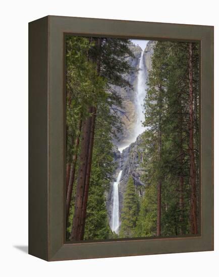 Yosemite Falls, Yosemite National Park, California, Usa-Jamie & Judy Wild-Framed Premier Image Canvas