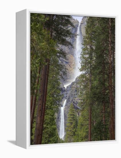 Yosemite Falls, Yosemite National Park, California, Usa-Jamie & Judy Wild-Framed Premier Image Canvas