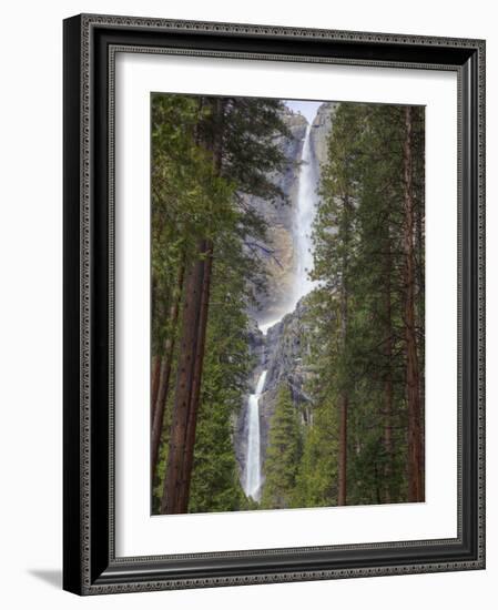 Yosemite Falls, Yosemite National Park, California, Usa-Jamie & Judy Wild-Framed Photographic Print