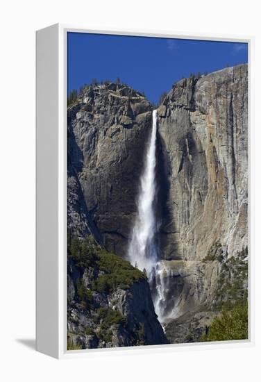 Yosemite Falls, Yosemite Valley, Yosemite NP, California, USA-David Wall-Framed Premier Image Canvas