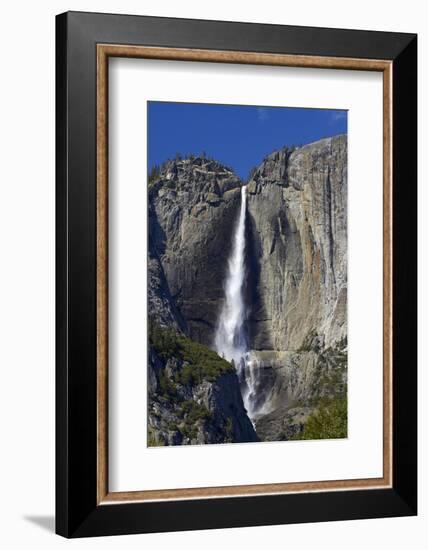 Yosemite Falls, Yosemite Valley, Yosemite NP, California, USA-David Wall-Framed Photographic Print