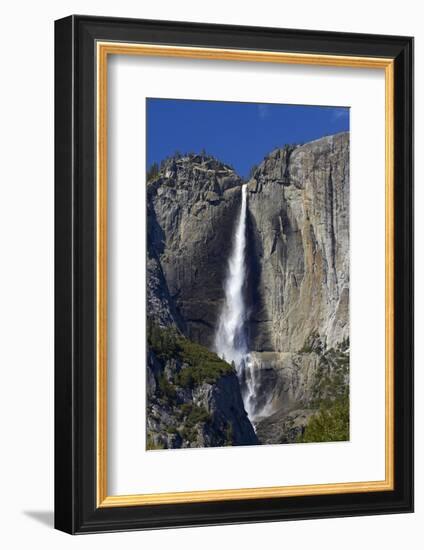 Yosemite Falls, Yosemite Valley, Yosemite NP, California, USA-David Wall-Framed Photographic Print