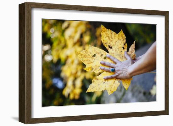 Yosemite National Park, CA-Justin Bailie-Framed Photographic Print