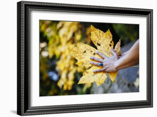 Yosemite National Park, CA-Justin Bailie-Framed Photographic Print