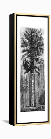 Yosemite National Park, California, 19th Century-Paul Huet-Framed Premier Image Canvas