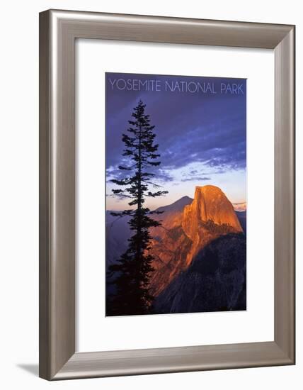Yosemite National Park, California - Half Dome and Pine Tree-Lantern Press-Framed Art Print