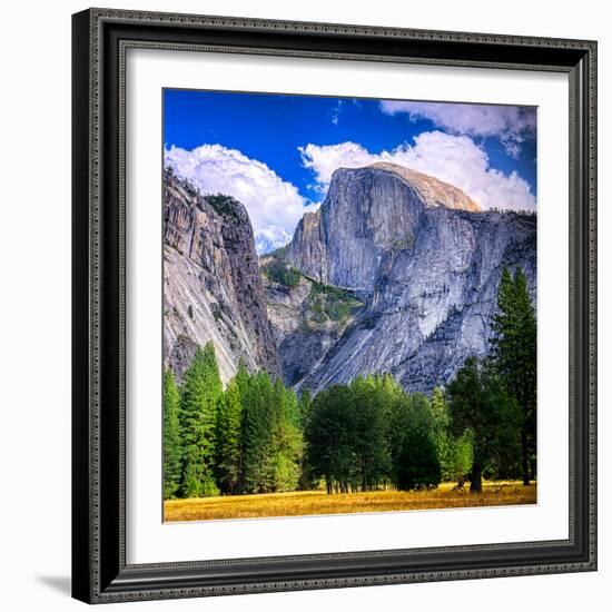 Yosemite National Park, California. Half Dome Peak.-Dancestrokes-Framed Photographic Print