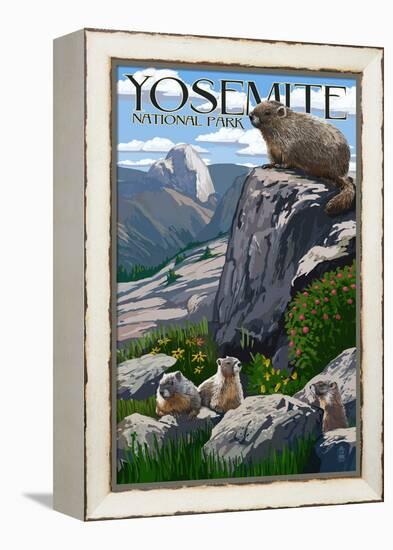 Yosemite National Park, California - Marmots-Lantern Press-Framed Stretched Canvas